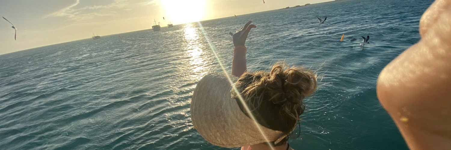 PaolaAlu's profile banner image
