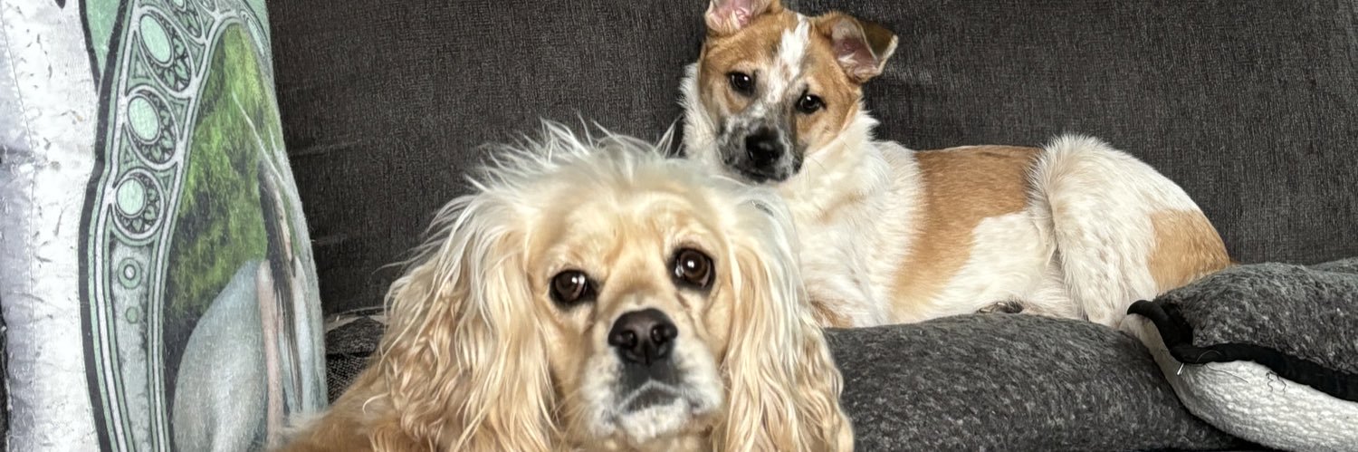 Amy Freeman-Britton banner