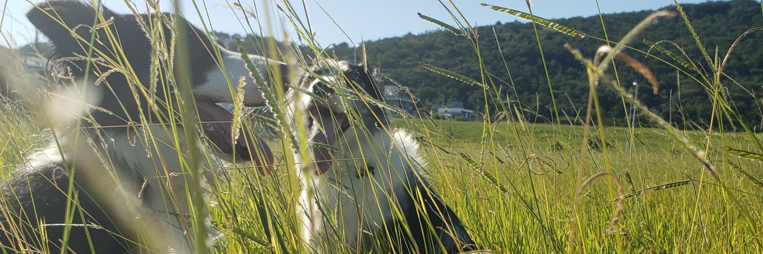 IgormeSoares's profile banner image