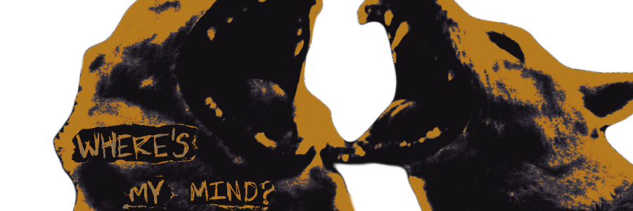 ۟'s banner