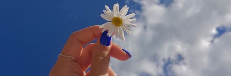mayaraad_'s profile banner image