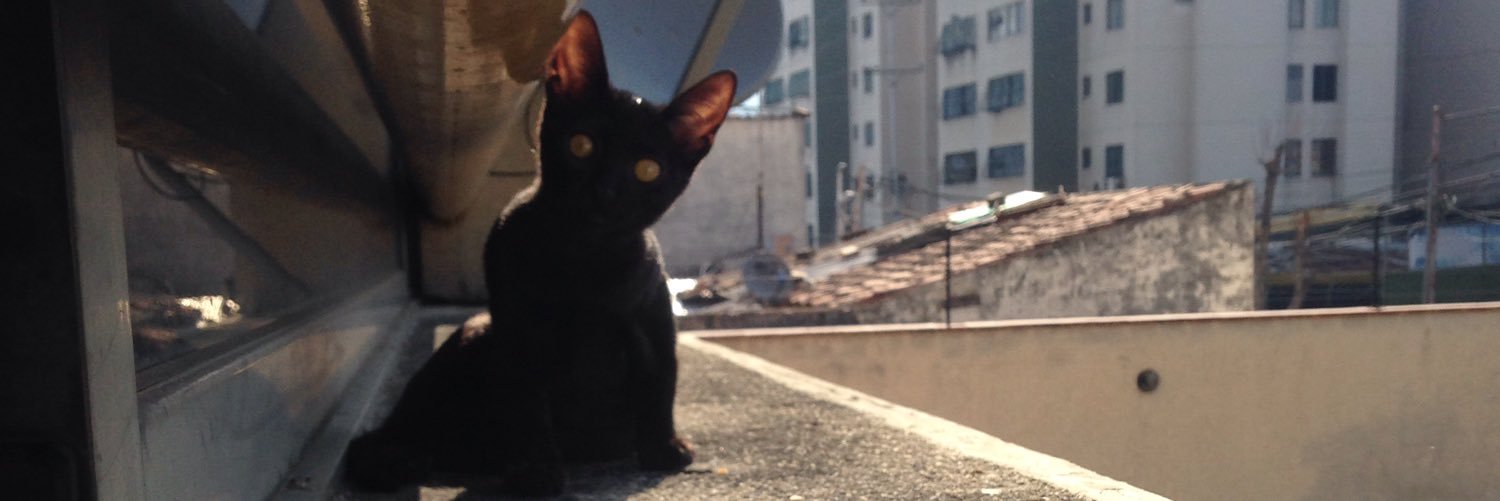 juliocalvache's profile banner image