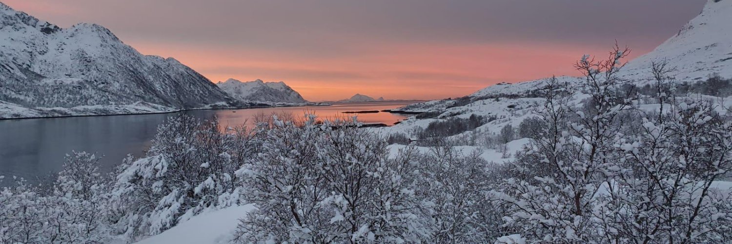 Emily S. Davidson banner