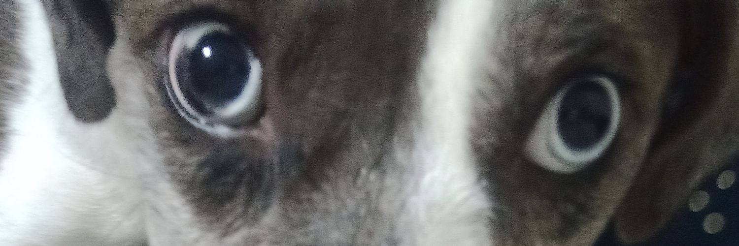 raidenx_jo's profile banner image