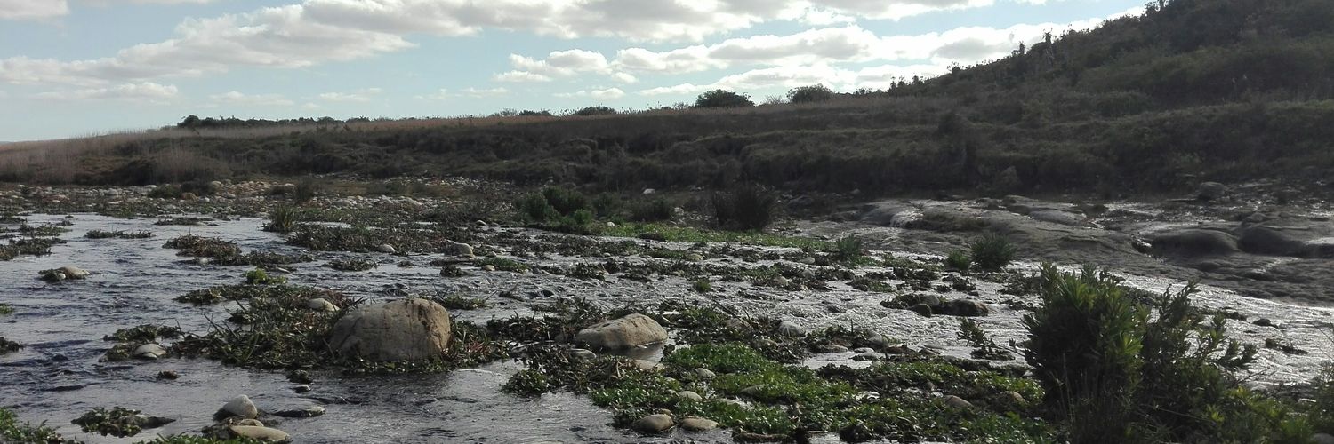 SanetGerber's profile banner image