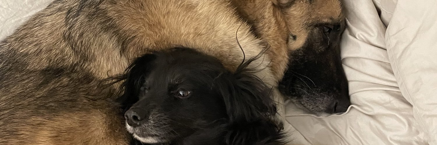 Sarah E. Makin ن banner