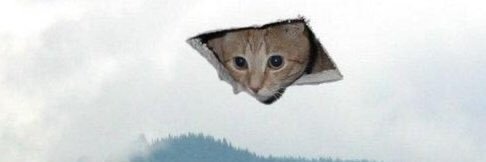 RiledUpRiles's profile banner image