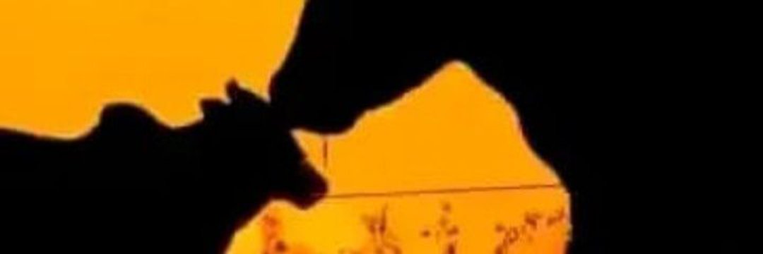 🇲​🇦​🇱​🇦 🇱​🇦​🧢 banner