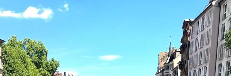 ZeuBraYa's profile banner image