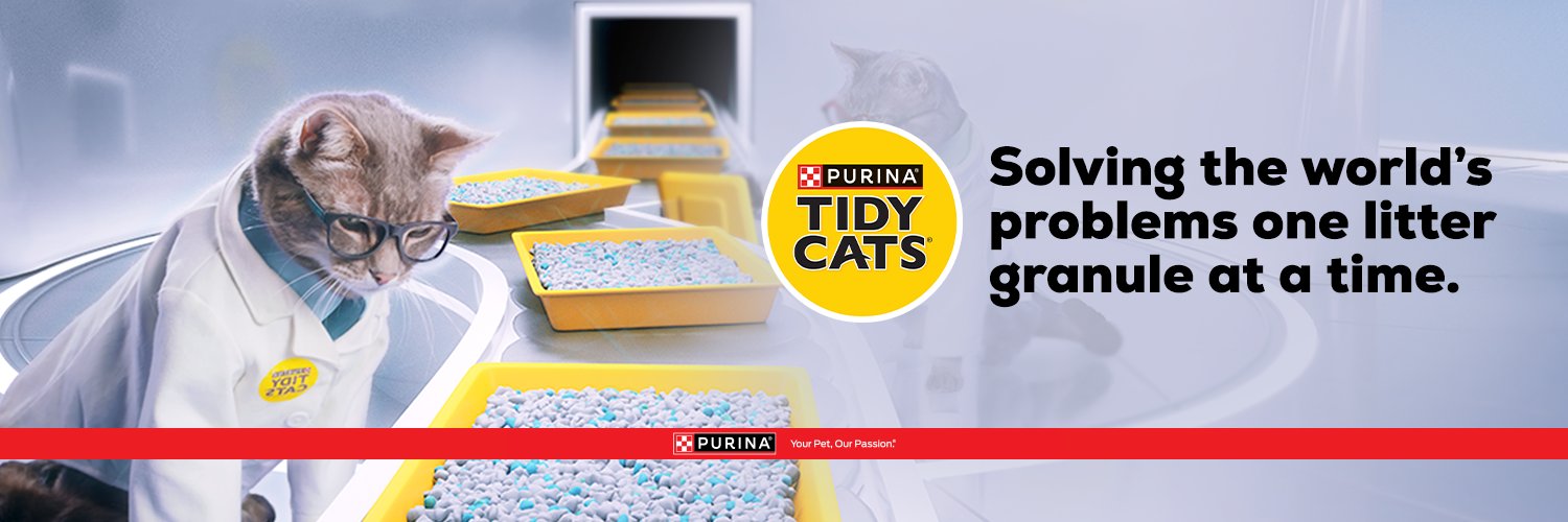TidyCats's profile banner image