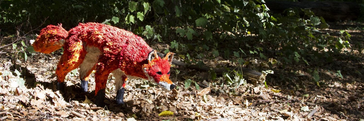 Carlos Machado banner