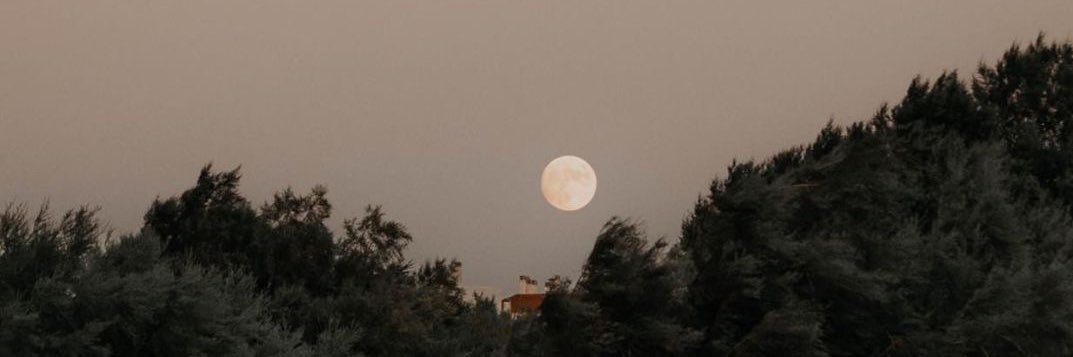 pingguoouhao's profile banner image