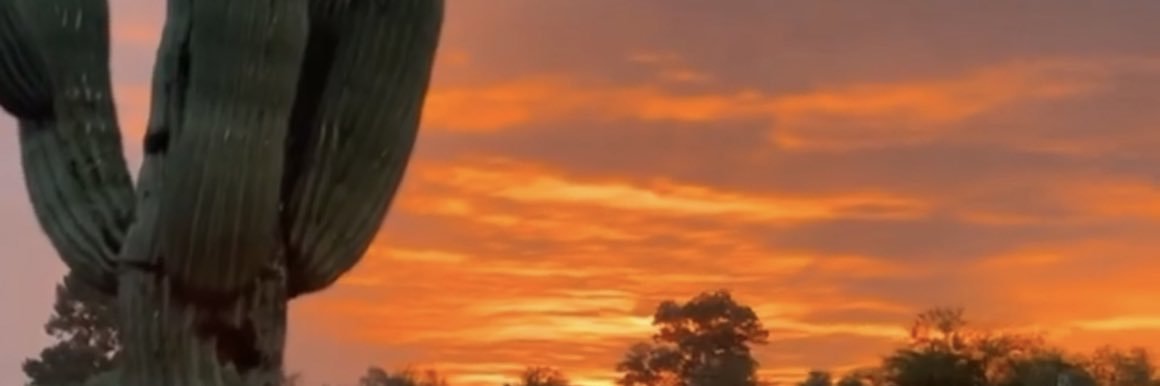 felixelgato77's profile banner image