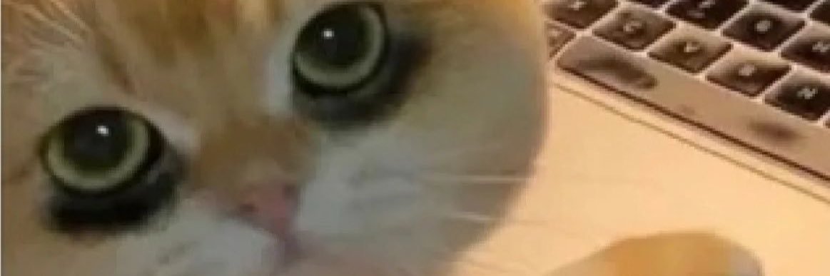 ba1i2 banner