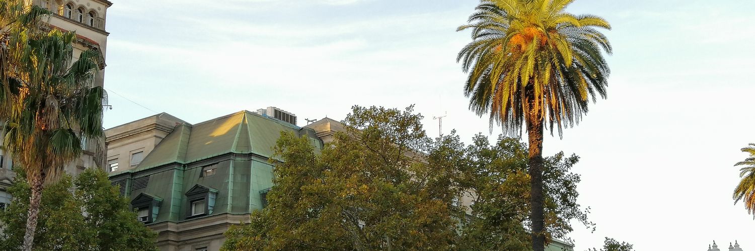 bautialonso's profile banner image