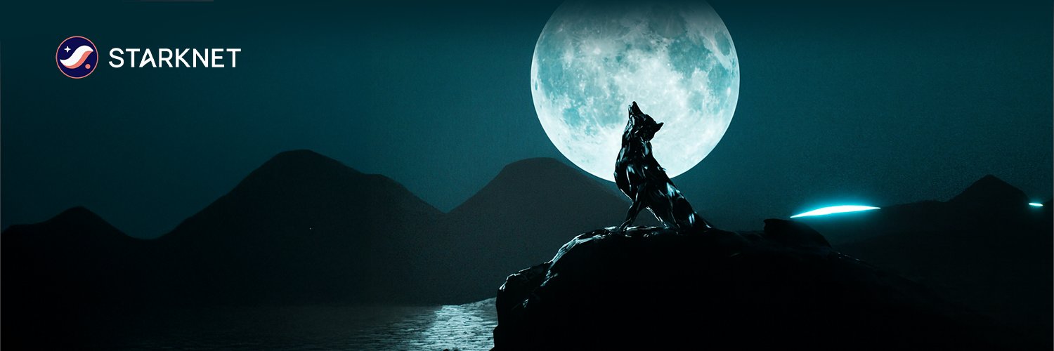 Starknet (Privacy arc) 🥷 banner