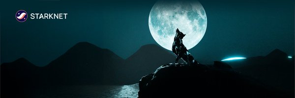 Starknet Profile Banner