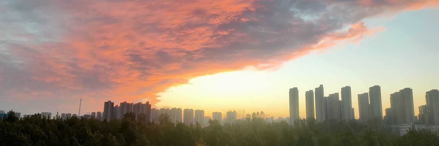 菠萝嘎嘎鸭 banner