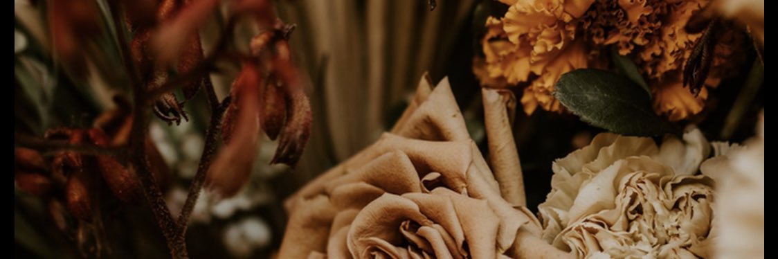 Roro_pean's profile banner image