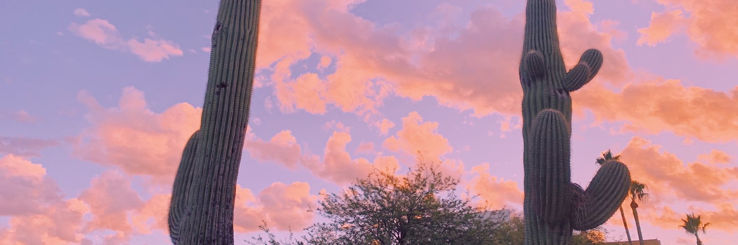 LexiCampion's profile banner image
