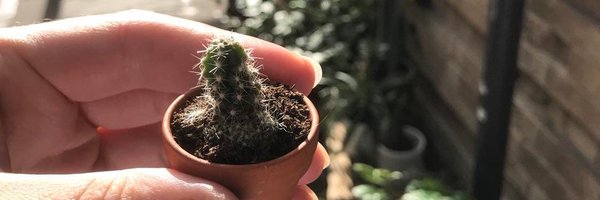 officialXTIM Profile Banner