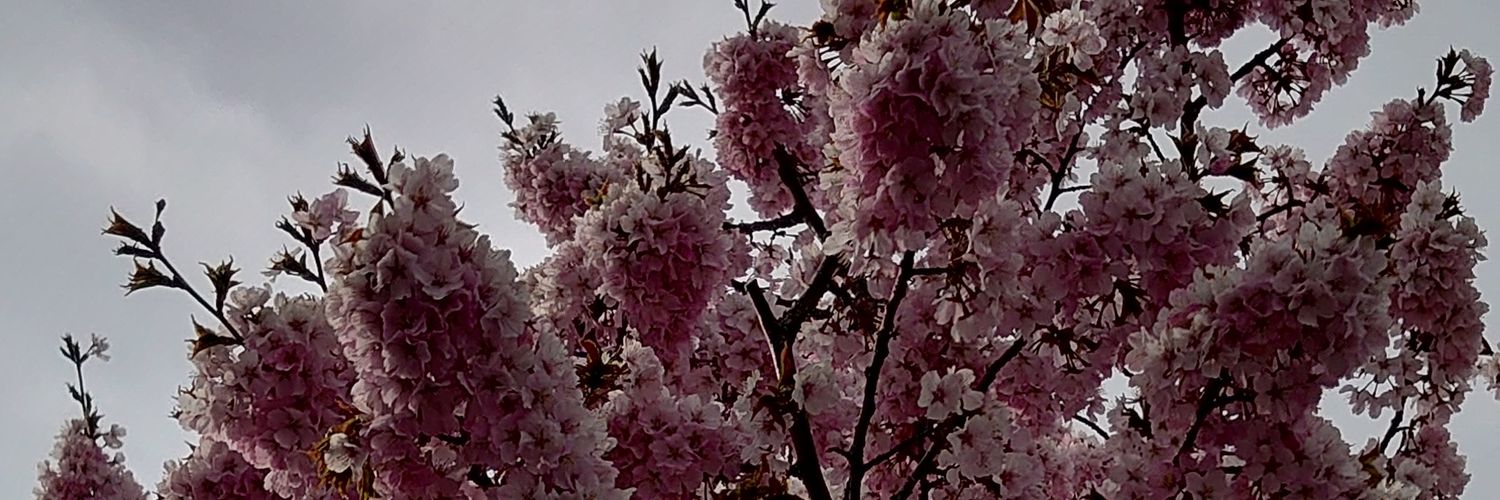綾璃 banner
