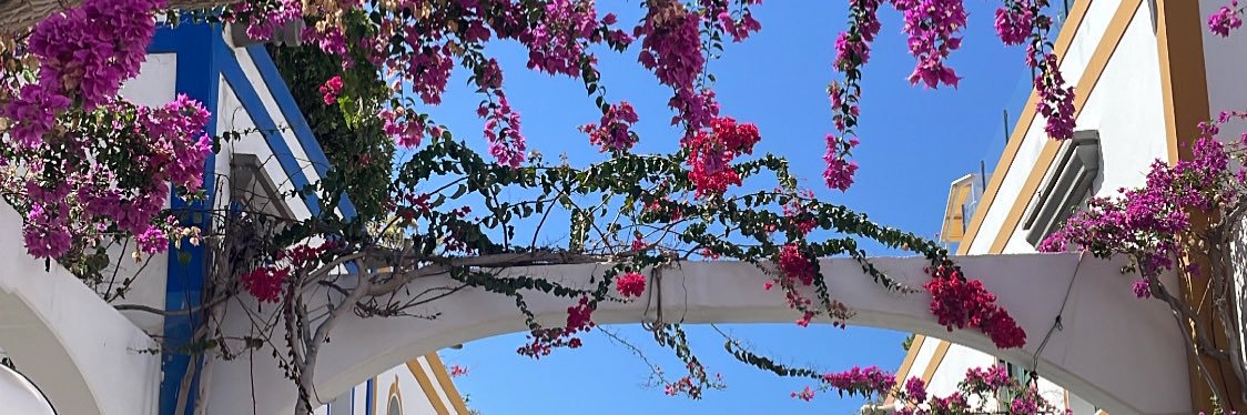 EmilyTabinor's profile banner image