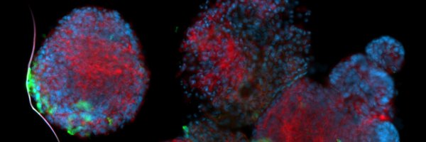 IEO_Bonn Profile Banner