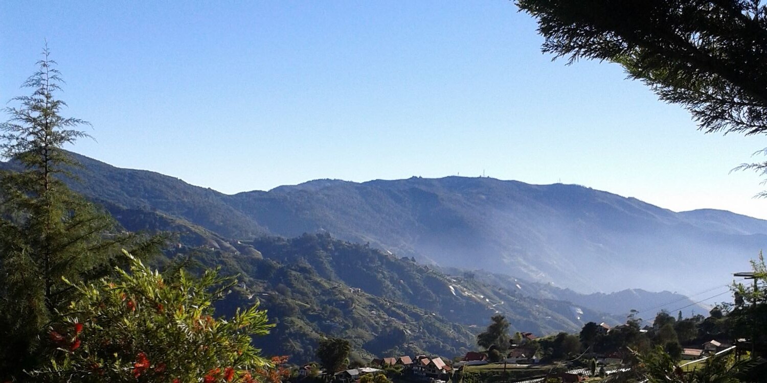 Leonardo Nuñez banner