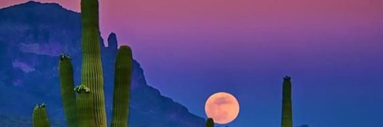 glGina's profile banner image