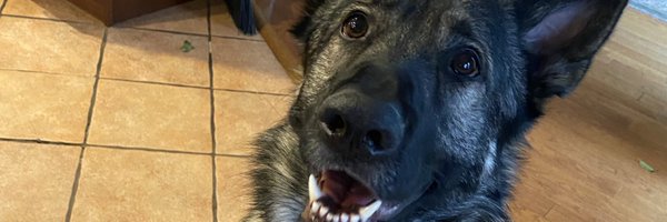 anasantiagoi Profile Banner