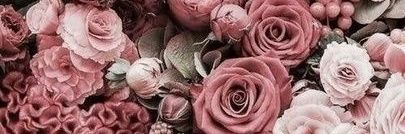 ZaidaGF7's profile banner image