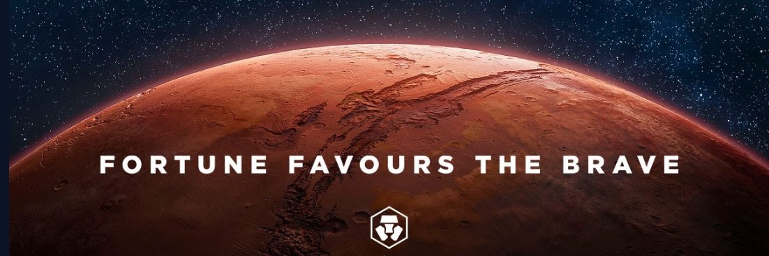 The Loaded Lion banner