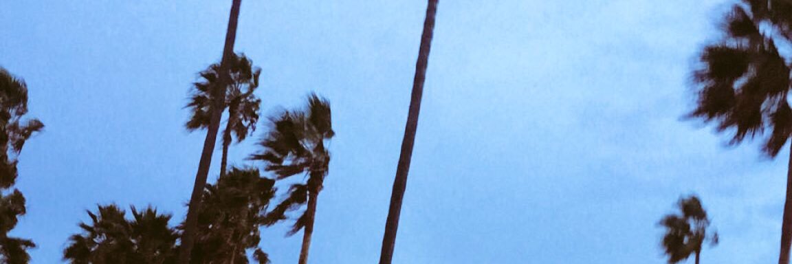 Mally_Mall206's profile banner image