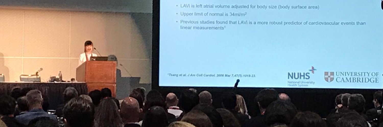 Jamie S. Y. Ho banner