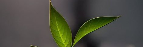 ᗩᒪIEᑎᗯᗩᖇE ❁ banner