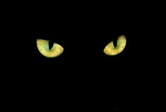 larisuarez's profile banner image