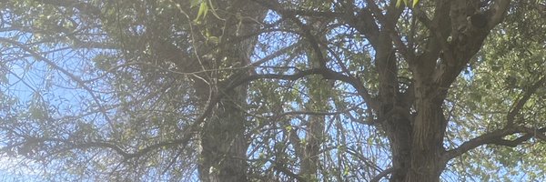 kmSOStenibles Profile Banner