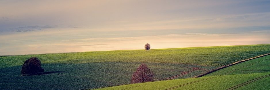 cormbreab1's profile banner image