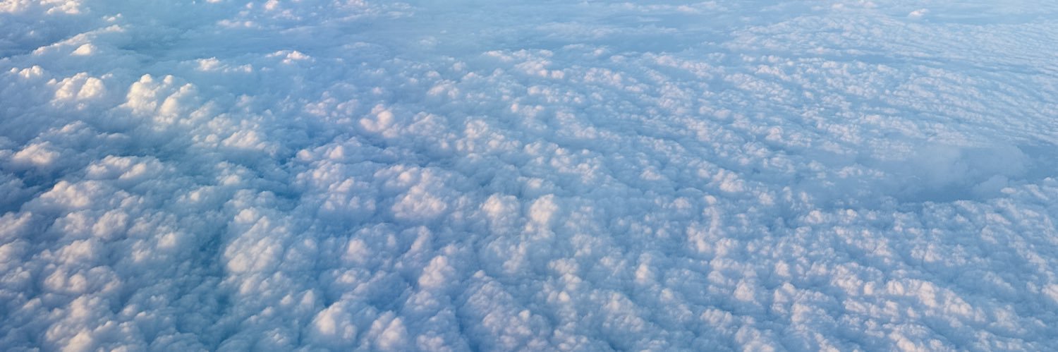 Ralph Gabriel banner