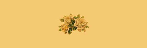 Flor_Chiina's profile banner image