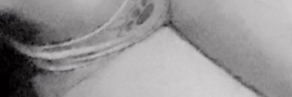 bx137i's profile banner image