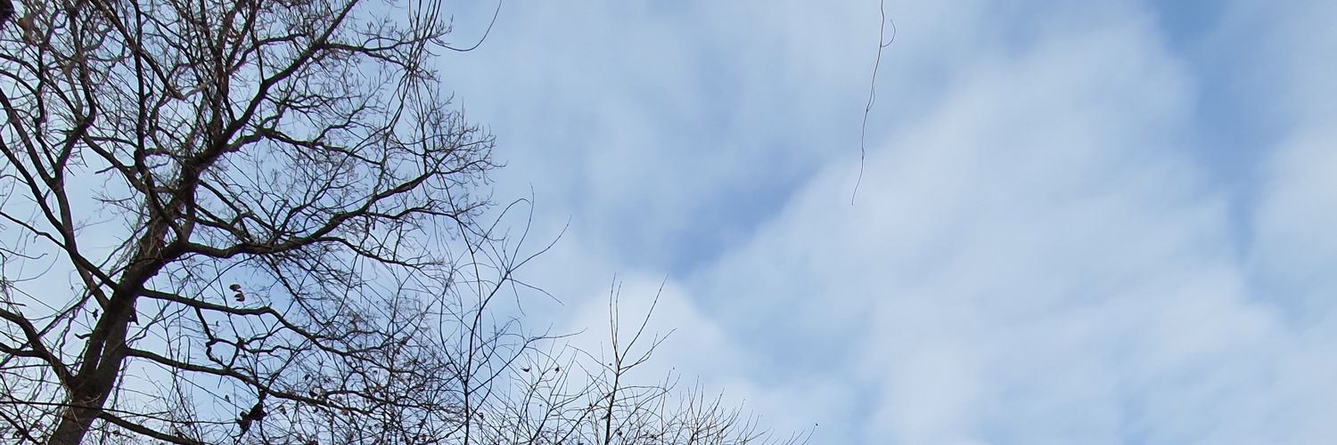 atothenine's profile banner image
