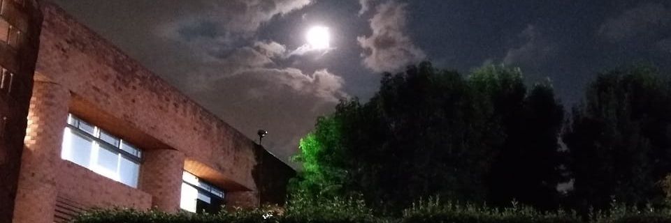 CONSERUVA's profile banner image