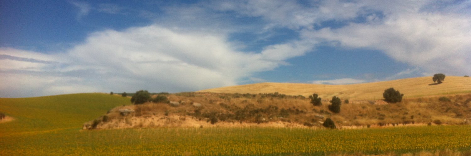 fernandovillar's profile banner image