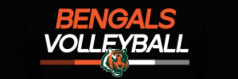 Plainfield East Boys Volleyball banner