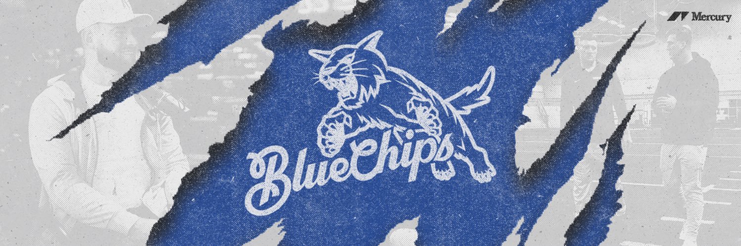 Blue Chips Media's banner