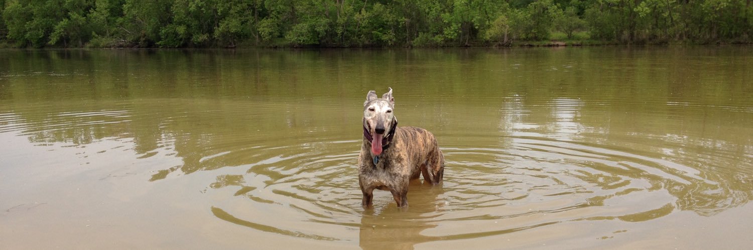 M. Molly Backes banner