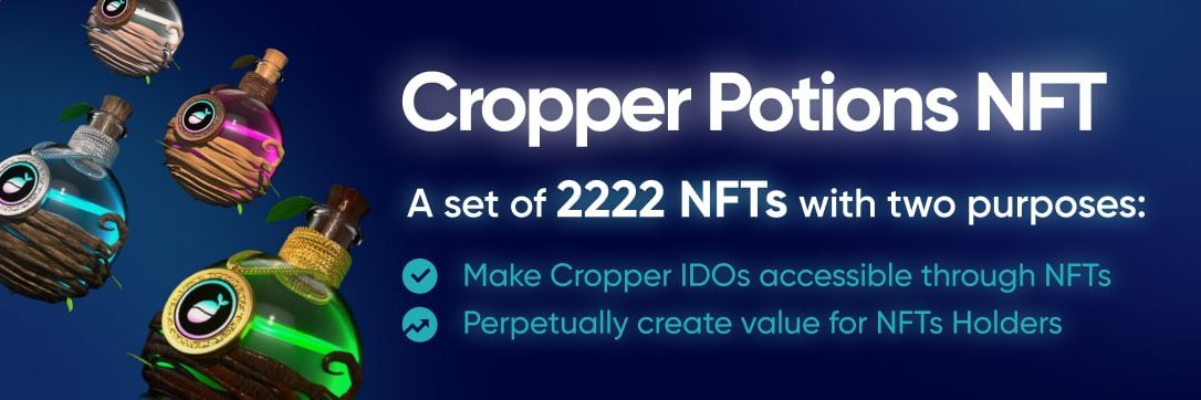 Primo Baldwin banner