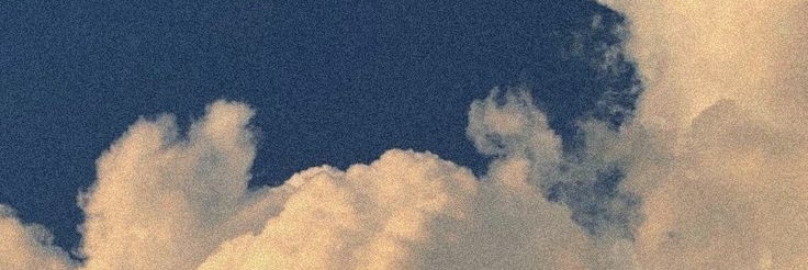 nintendhooooe's profile banner image